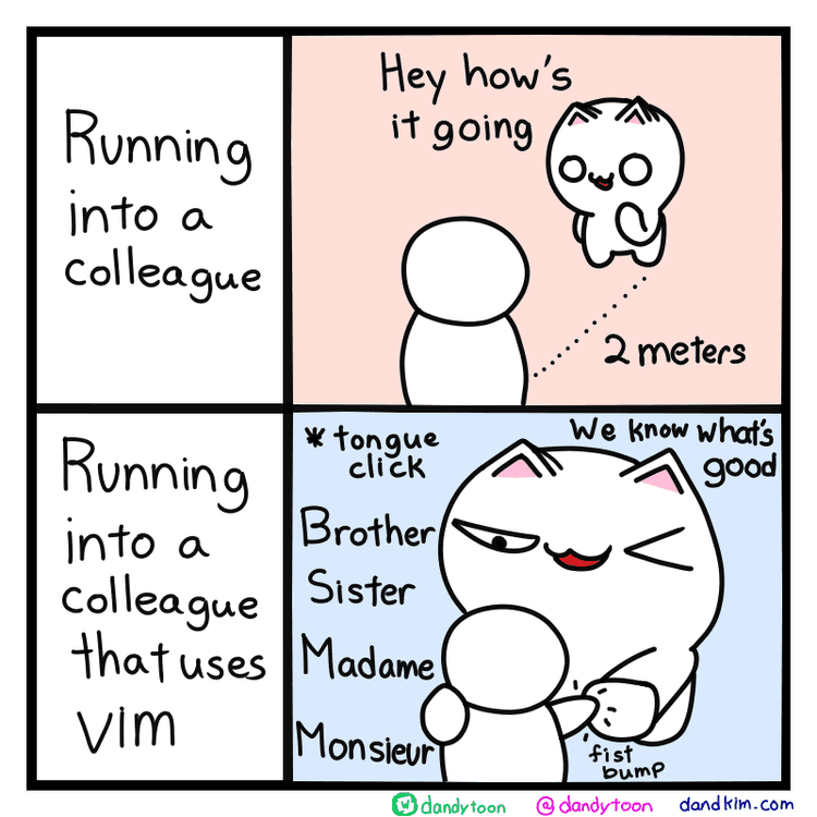 Image divided horizontally. Top portion shows cat running into a colleague and saying hi while keeping a distance of 2 meters away from the colleague. Bottom portion shows the asme cat running into a colleague that uses vim and saying hi in a very friendly way, fistbumping, winking, and saying that they know what's good"